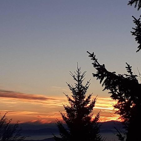 Vikend Kuca Cairovic Villa Kopaonik Luaran gambar
